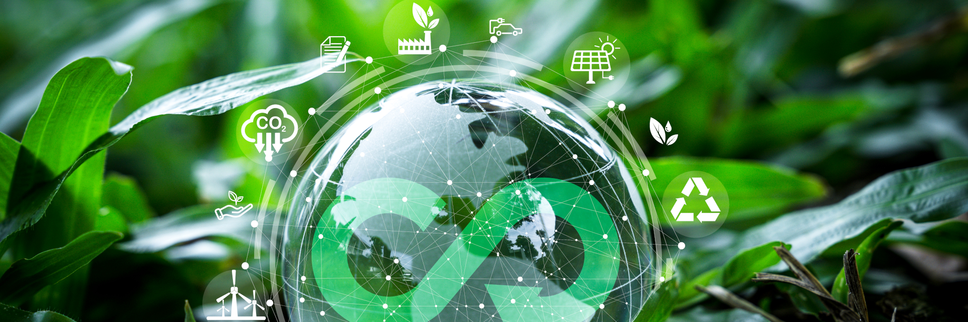 Taller Economía Circular